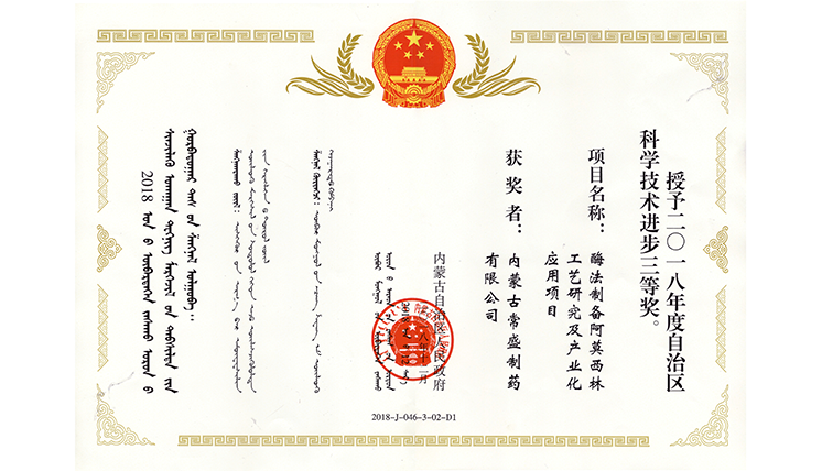 自治區(qū)科學進步三等獎